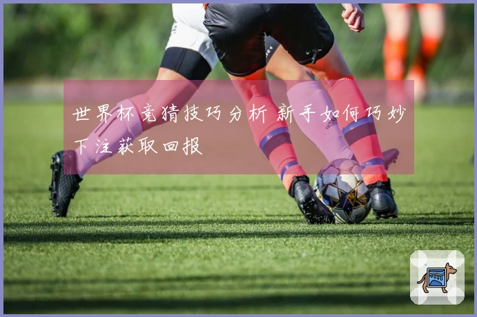 世界杯竞猜技巧分析 新手如何巧妙下注获取回报