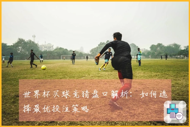 世界杯买球竞猜盘口解析：如何选择最优投注策略