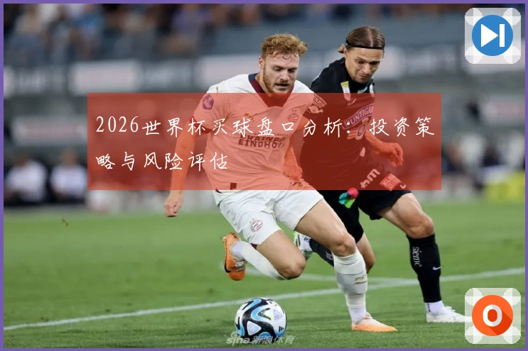 2026世界杯买球盘口分析：投资策略与风险评估